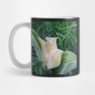 Tulip with bit of pink Mug